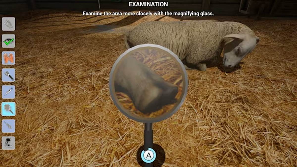 My Life: Farm Vet_4
