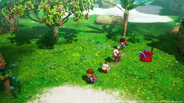 勇者斗恶龙X：觉醒的五种族 – 离线版.Dragon Quest X Offline_1