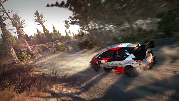 国际汽车联盟世界拉力锦标赛8：豪华版.WRC 8 FIA World Rally Championship Deluxe Edition_2