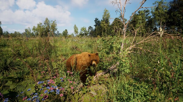 俄罗斯灵魂模拟器.Russian Soul Simulator_4