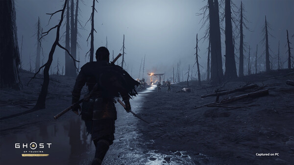 对马岛之魂：导演剪辑版.Ghost of Tsushima: Director’s Cut_1