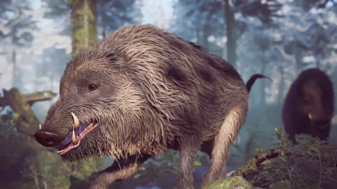 冬日幸存者.Winter Survival_1