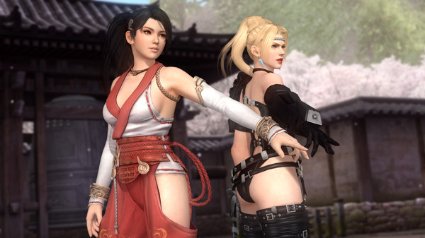 死或生5：最后一战.Dead Or Alive 5：Last Round_3