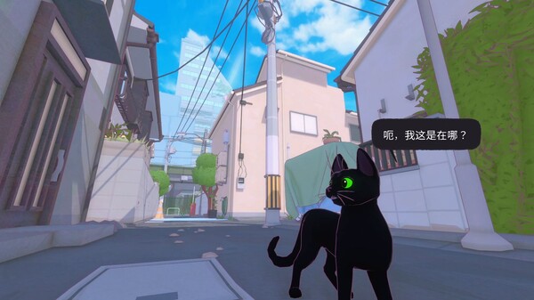小猫咪大城市.Little Kitty, Big City_0