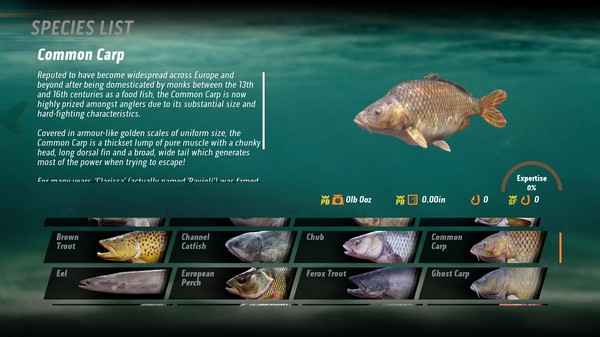 捕鱼：鲤鱼和淡水鱼.The Catch: Carp & Coarse Fishing_2
