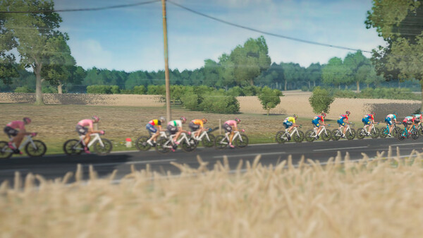 环法自行车赛2024.Tour de France 2024_4
