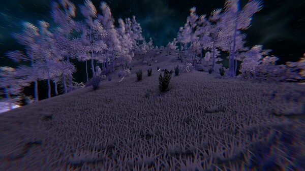 遗失的纸条.A Lost Note_3
