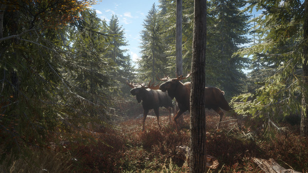 猎人：荒野的召唤 – 完整版.theHunter: Call of the Wild Complete Collection_0