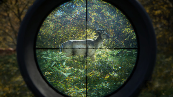 猎人：荒野的召唤 – 完整版.theHunter: Call of the Wild Complete Collection_2