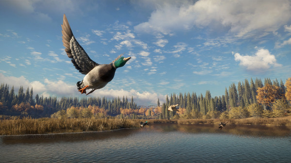 猎人：荒野的召唤 – 完整版.theHunter: Call of the Wild Complete Collection_3