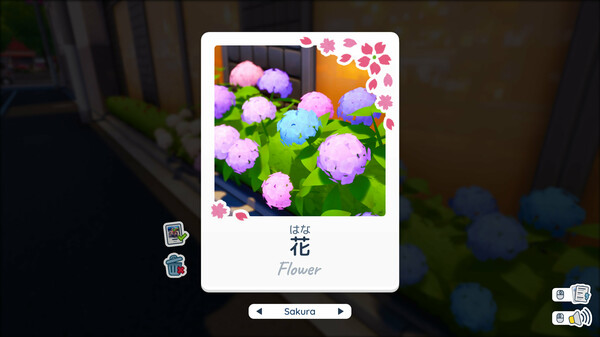 写真语.Shashingo: Learn Japanese with Photography_2