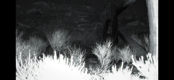 Trailcam_3