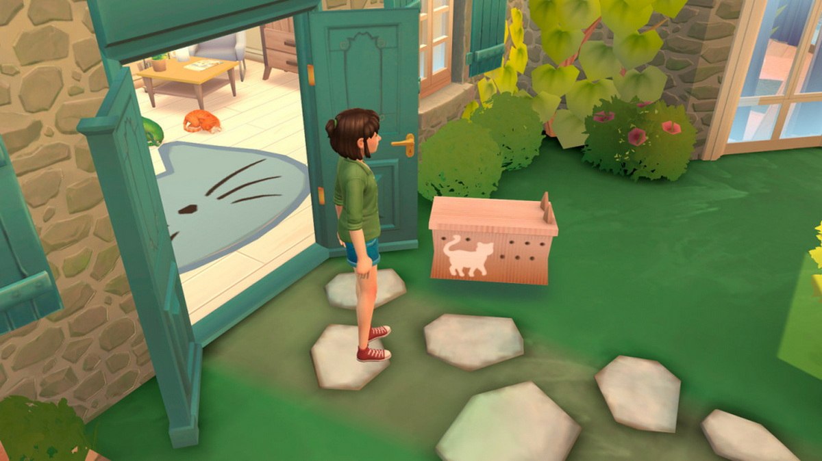 猫咪救援故事.Cat Rescue Story_0