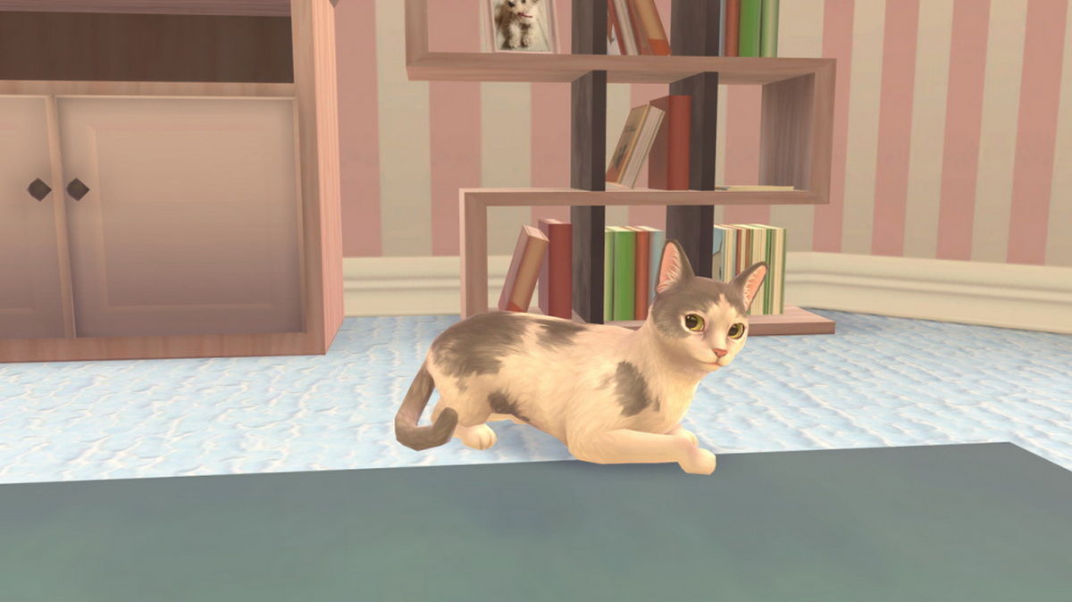 猫咪救援故事.Cat Rescue Story_2