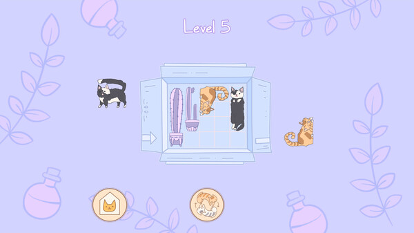 盒中猫.Cats in Boxes_0