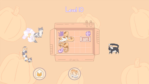 盒中猫.Cats in Boxes_1