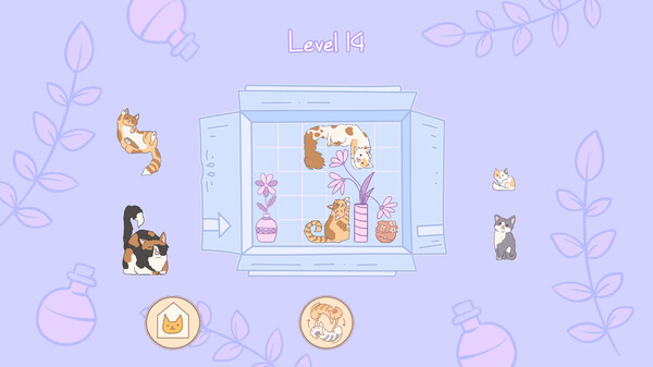 盒中猫.Cats in Boxes_2