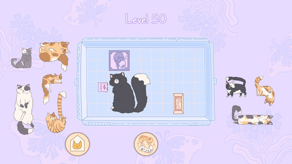 盒中猫.Cats in Boxes_3