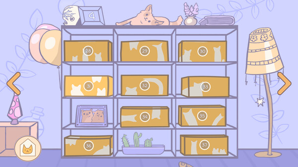 盒中猫.Cats in Boxes_4