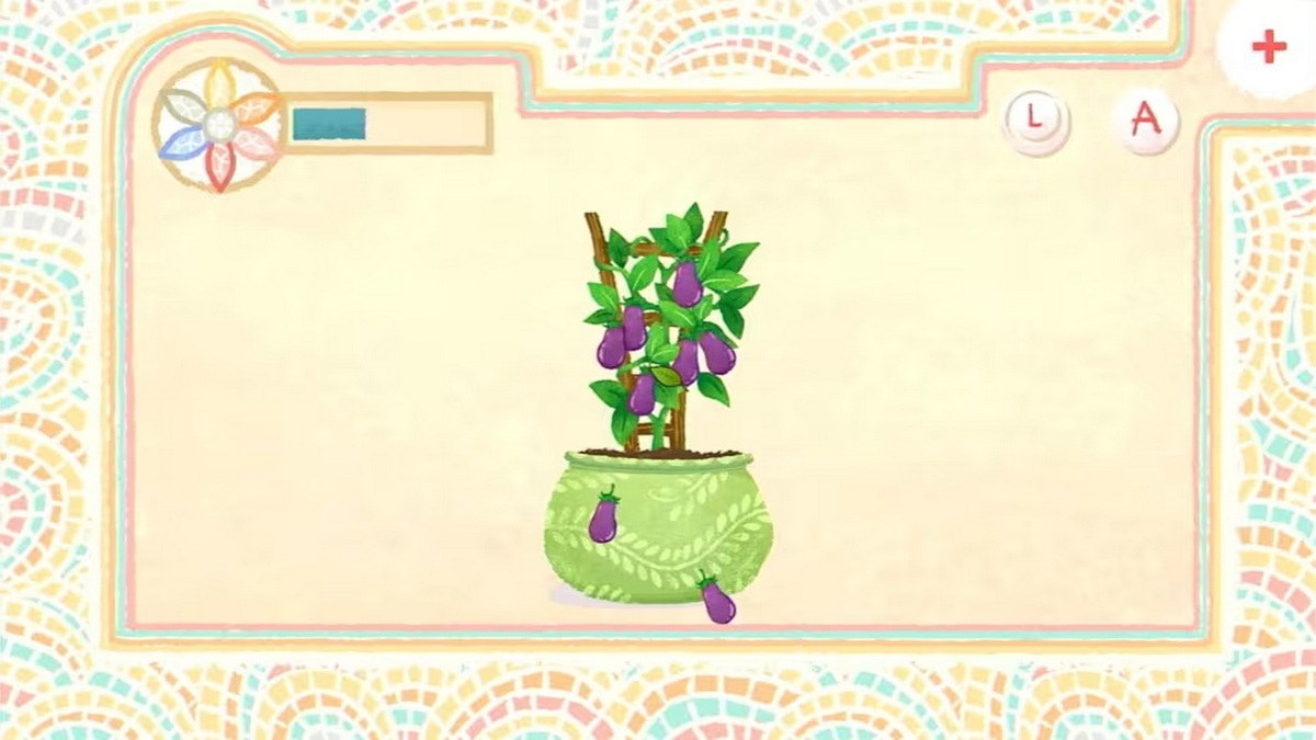 Amelia’s Garden_2