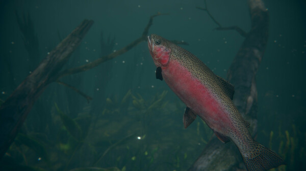 终极钓鱼模拟器2.Ultimate Fishing Simulator 2_0