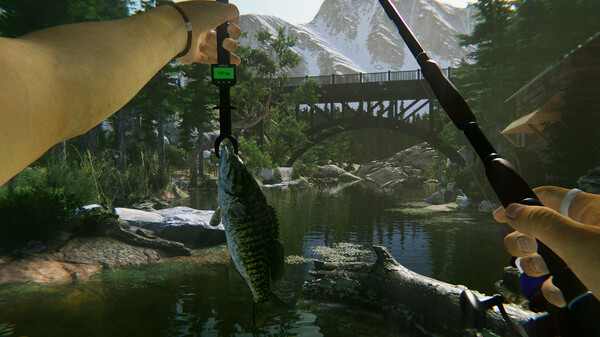 终极钓鱼模拟器2.Ultimate Fishing Simulator 2_2