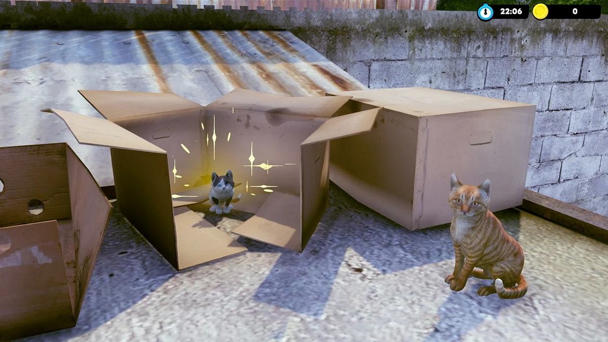 Little Strays_4