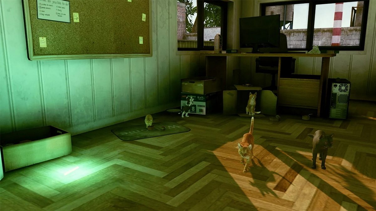Little Strays_5