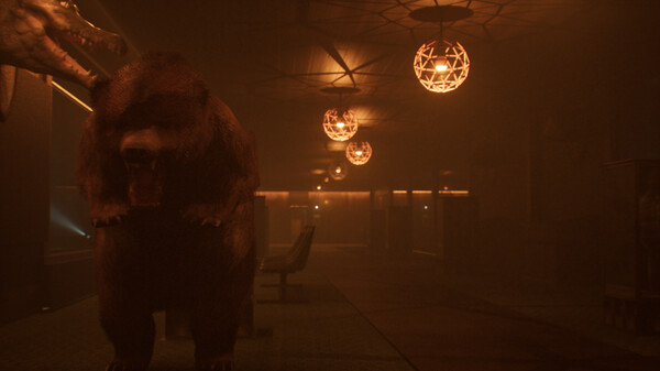 项目13：标本制作之路.Project 13: Taxidermy Trails_3