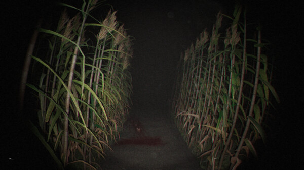 未知录像带.Unknown Tapes_0
