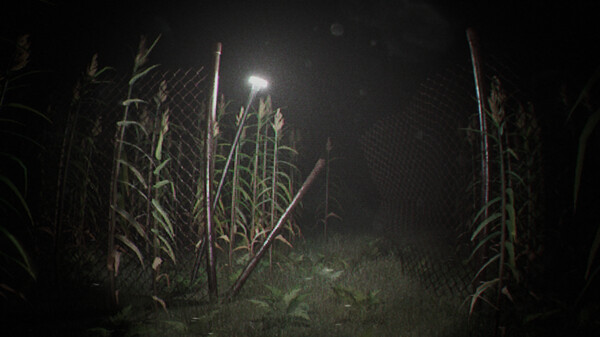 未知录像带.Unknown Tapes_4