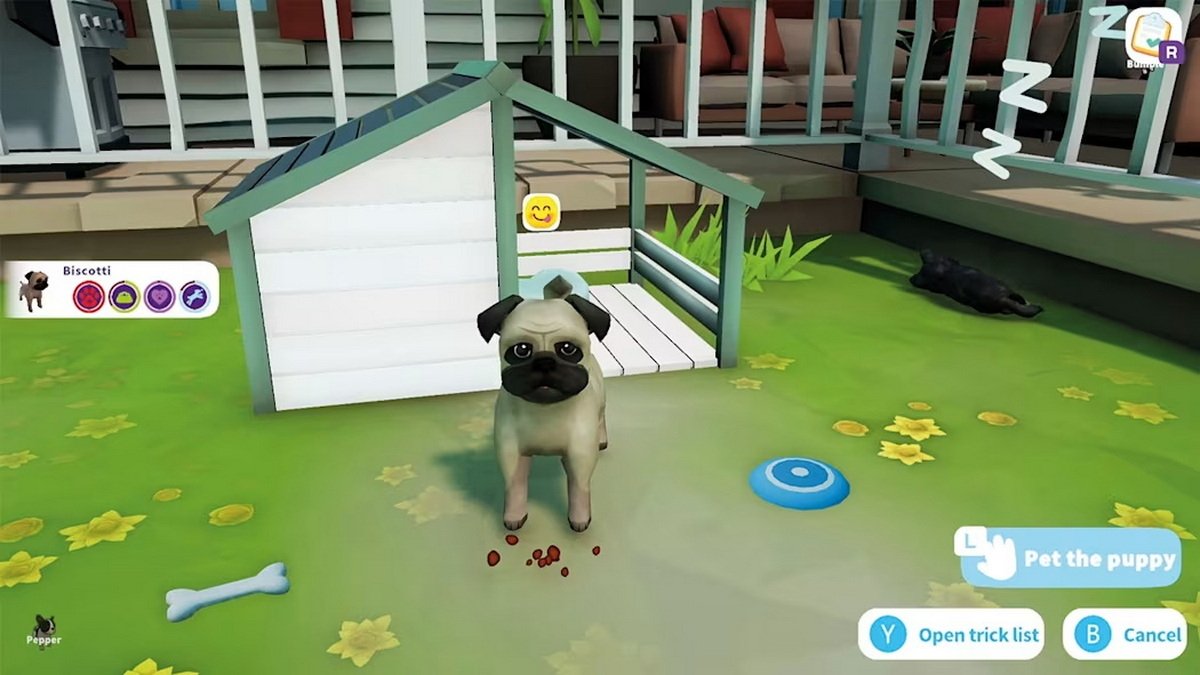 Cute Puppy Academy_1