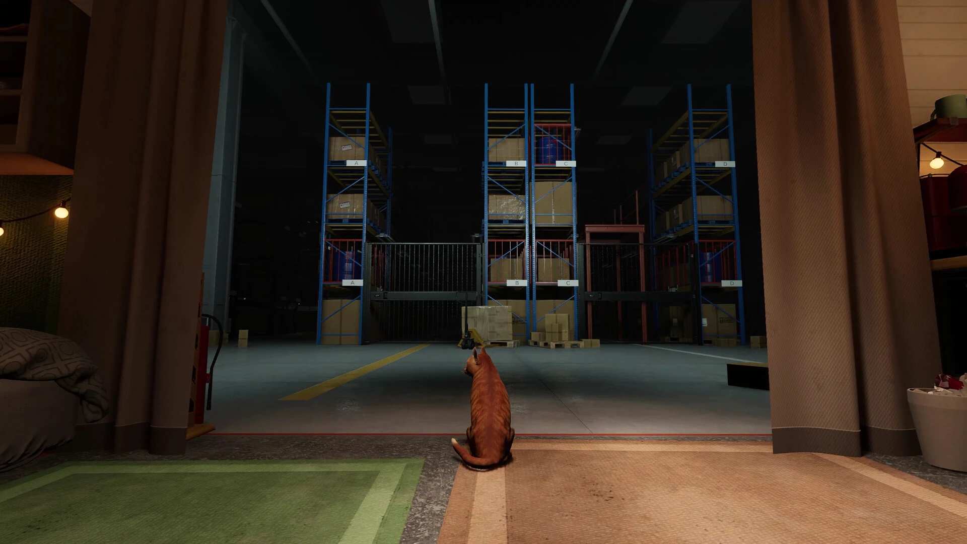 猫好货坏.Order 13_0