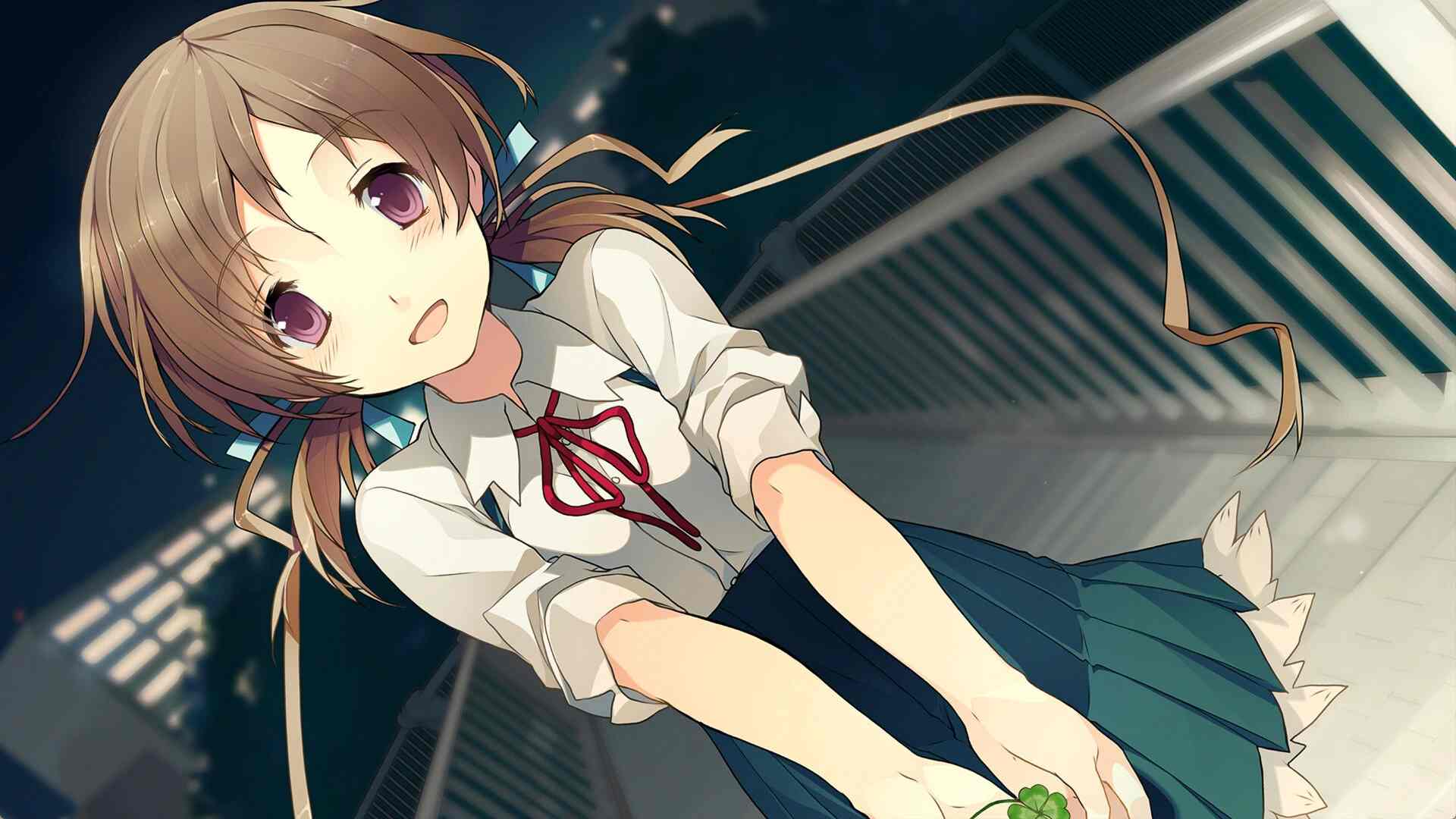 恋爱与选举与巧克力.Love, Elections and Chocolate_1