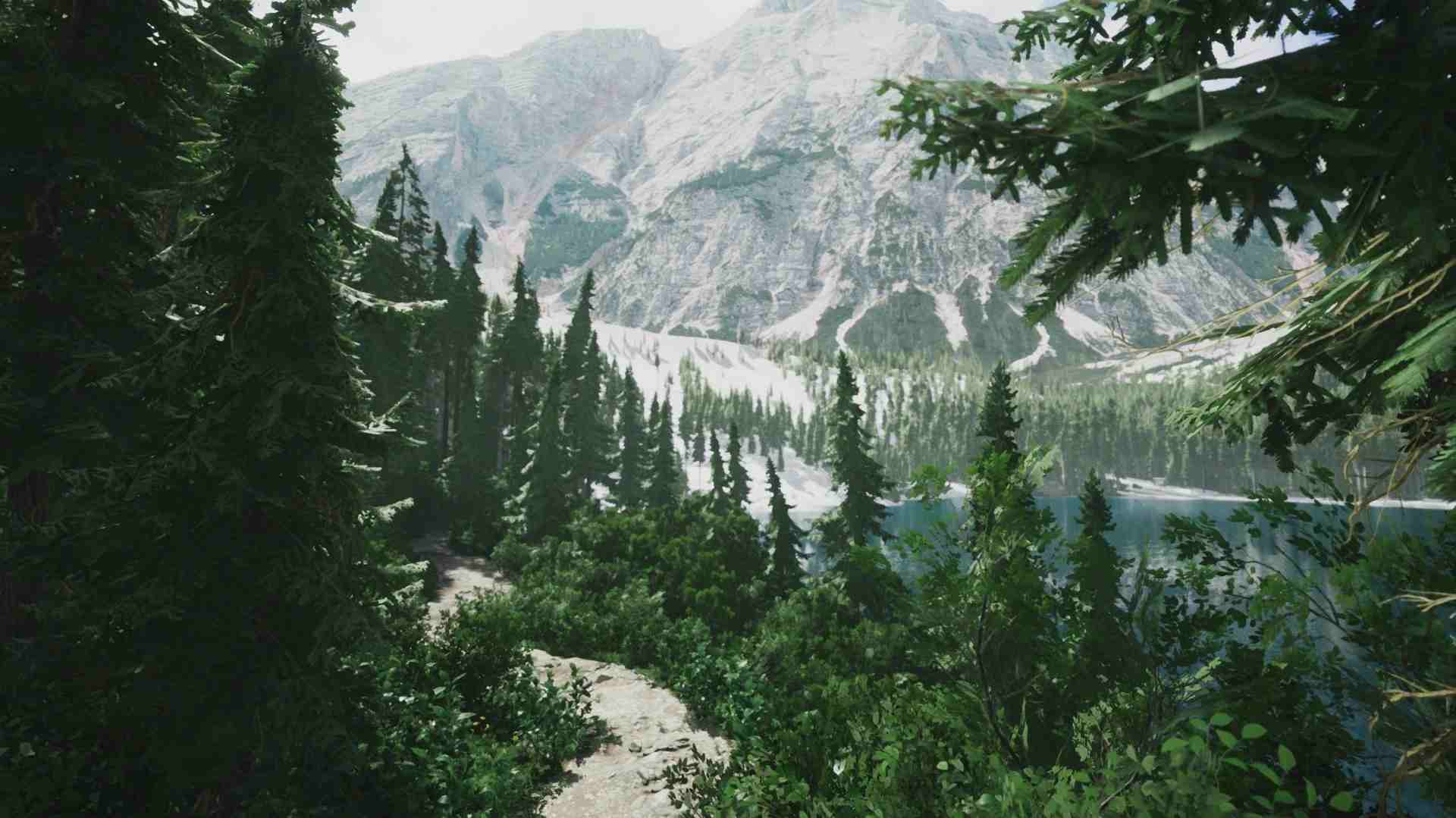 摄影步行模拟器.Lushfoil Photography Sim_0