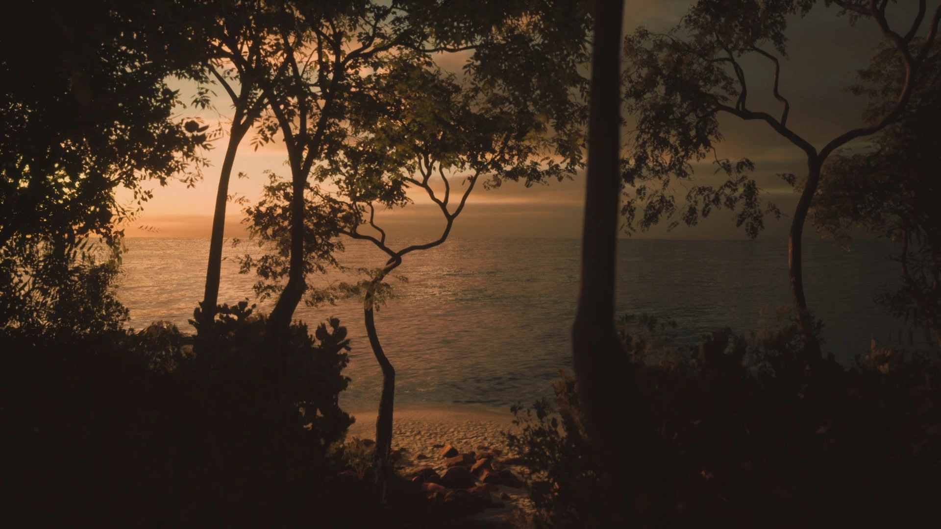 摄影步行模拟器.Lushfoil Photography Sim_1