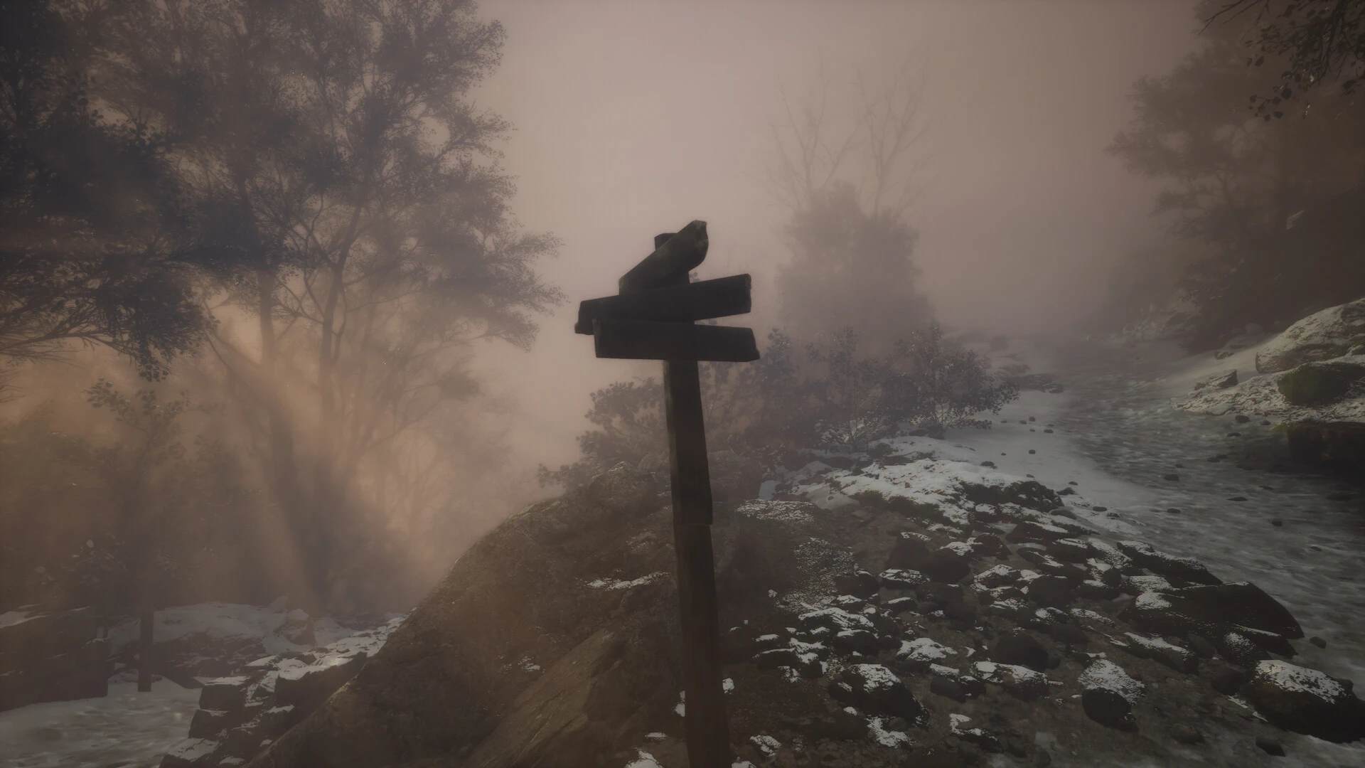 摄影步行模拟器.Lushfoil Photography Sim_2