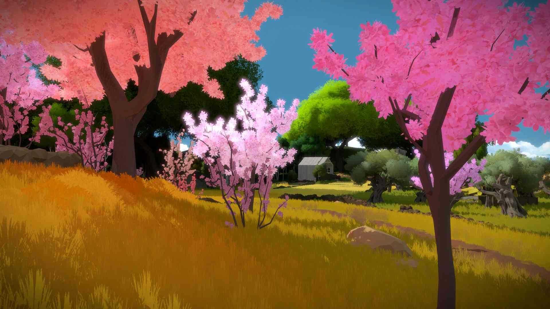 见证者.The Witness_3