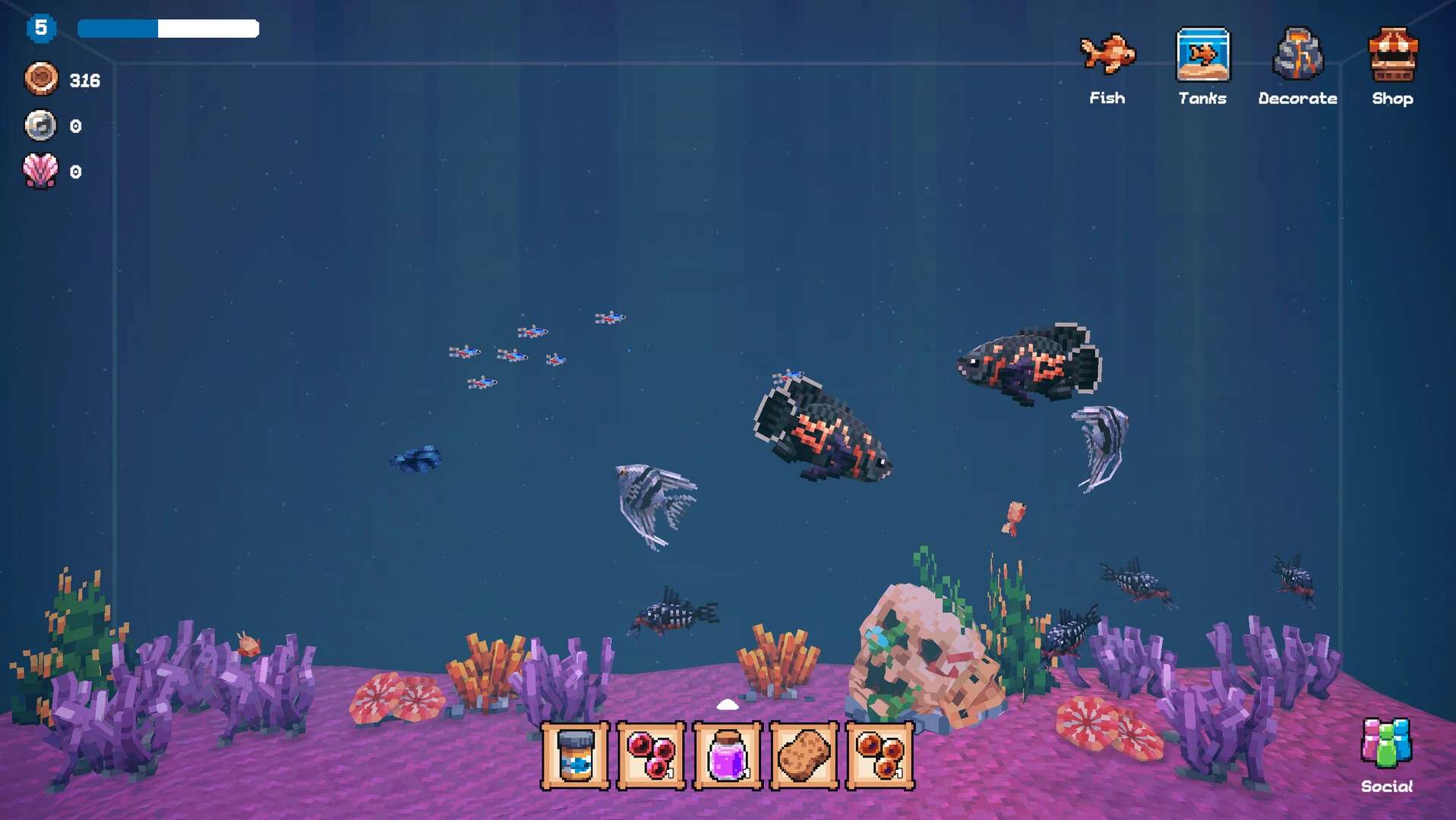 全球鱼友俱乐部：放置好时光.Tiny Aquarium_3