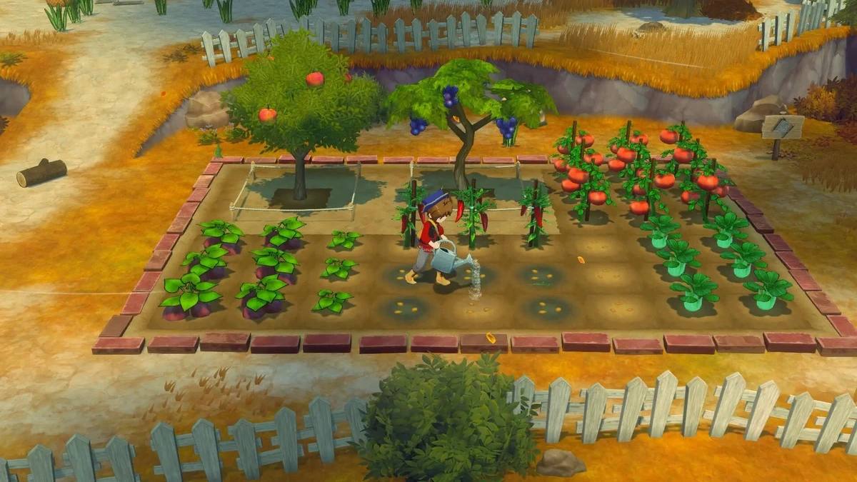 牧场物语：风之集会 – 数字豪华典藏版.STORY OF SEASONS: Grand Bazaar Super Digital Deluxe Edition_0