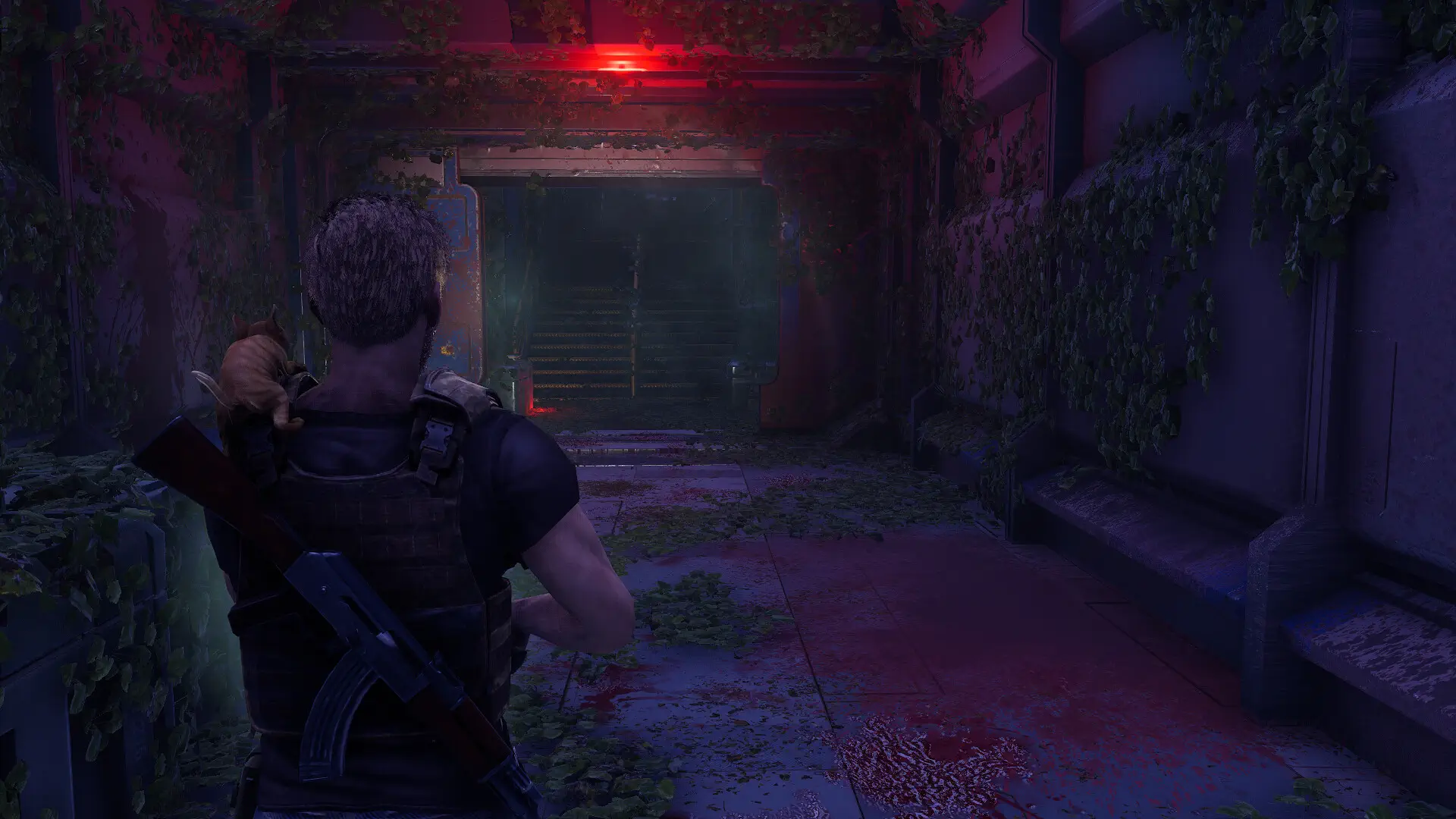 腐烂Z：起源.DecayZ Origin_1