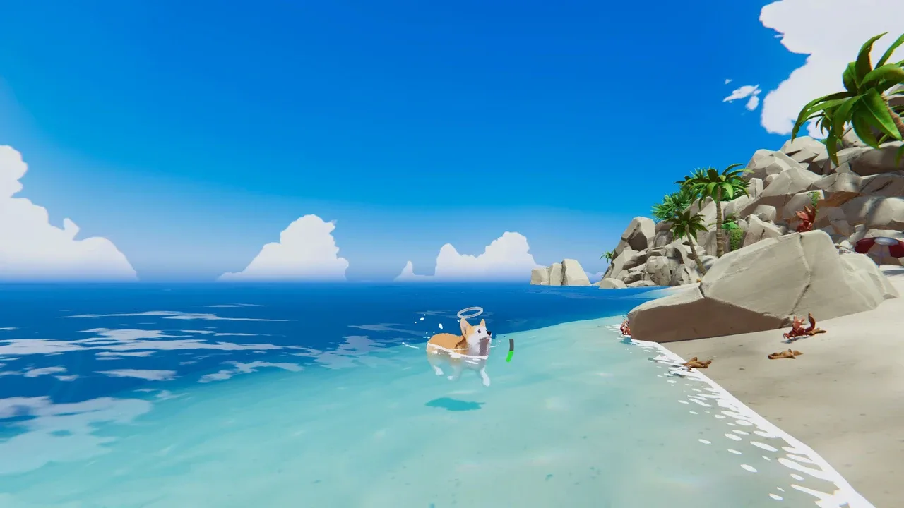 我的小柯基.My Little Puppy_1