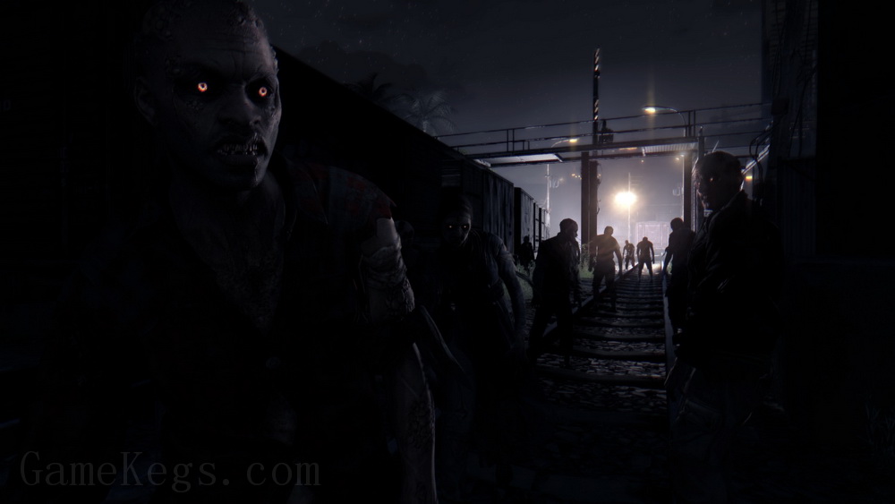 消逝的光芒：信徒 加强版.Dying Light: The Following – Enhanced Edition_1