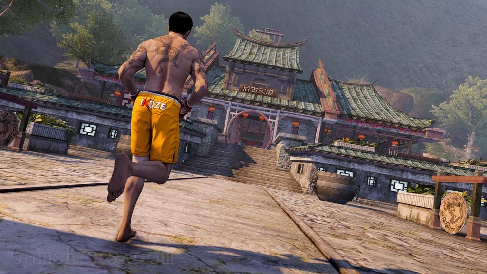 热血无赖：终极版.Sleeping Dogs: Definitive Edition_3