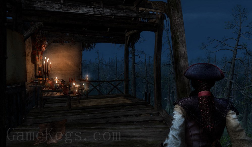 刺客信条3：解放.Assassins Creed Liberation HD_3