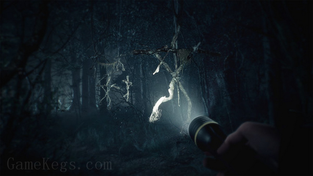 布莱尔女巫.Blair Witch_1