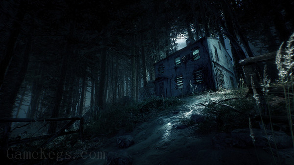 布莱尔女巫.Blair Witch_4