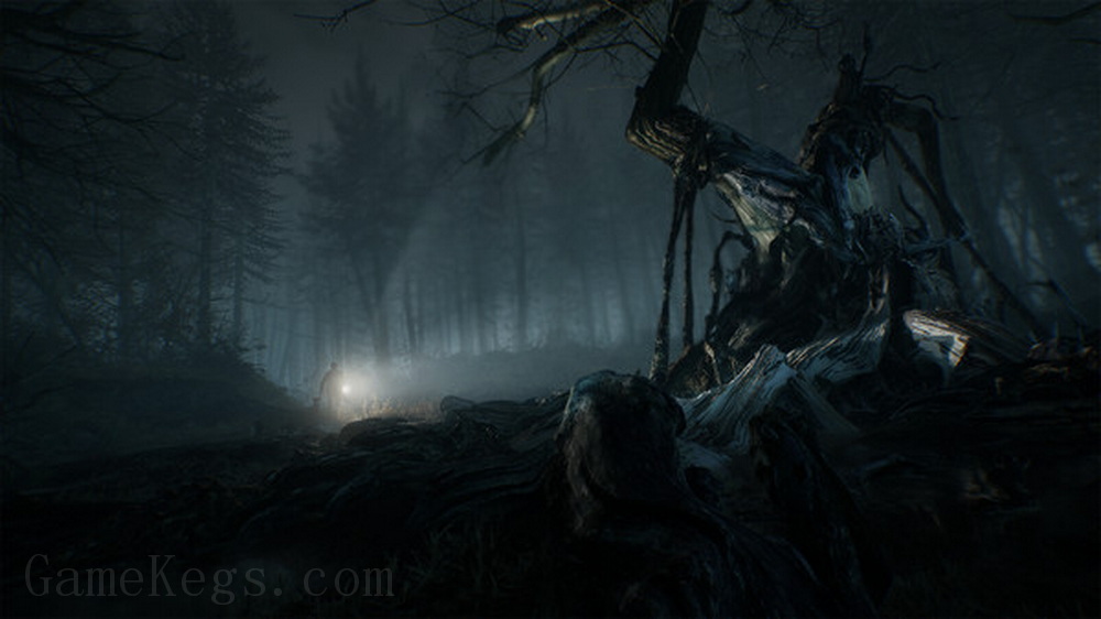 布莱尔女巫.Blair Witch_5