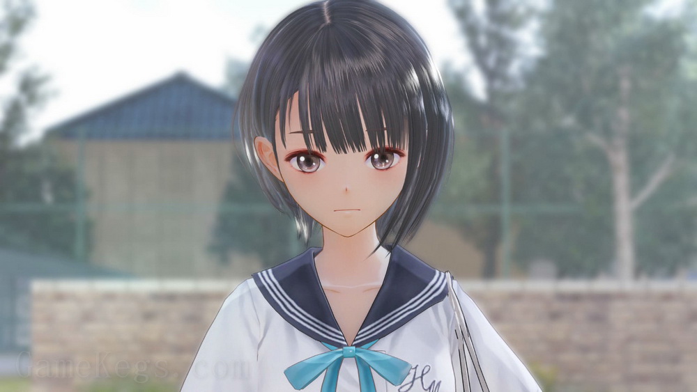 幻舞少女之剑.BLUE REFLECTION_0