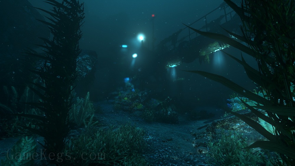 活体脑细胞.SOMA_1